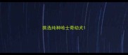 挑选纯种哈士奇幼犬