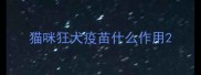 猫咪狂犬疫苗什么作用