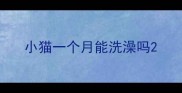 小猫一个月能洗澡吗