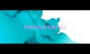 养泰迪应该注意什么