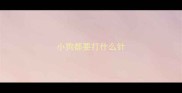 小狗都要打什么针