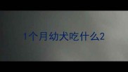 1个月幼犬吃什么