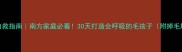 金毛犬掉毛自救指南南方家庭必看30天打造会呼吸的毛孩子附掉毛期护理全攻略