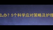 三个月大幼犬磨牙怎么办5个科学应对策略及护理指南附真实案例