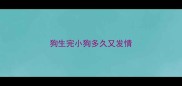 狗生完小狗多久又发情