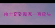 哈士奇到新家一直摇头