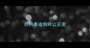苏州泰迪狗转让买卖