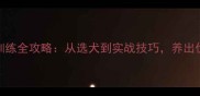 拉布拉多串串打猎训练全攻略从选犬到实战技巧养出优秀猎犬的5大关键