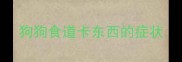 狗狗食道卡东西的症状