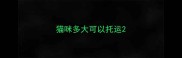 猫咪多大可以托运