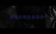 德牧拉布拉多杂交