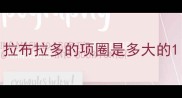拉布拉多的项圈是多大的
