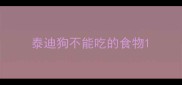 泰迪狗不能吃的食物
