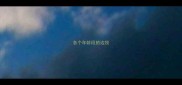 各个年龄段的边牧
