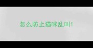 怎么防止猫咪乱叫