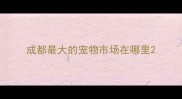 成都最大的宠物市场在哪里