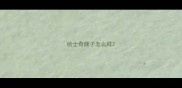 哈士奇牌子怎么样