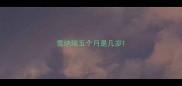 雪纳瑞五个月是几岁