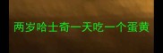 两岁哈士奇一天吃一个蛋黄