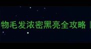 3个月法斗多重宠物毛发浓密黑亮全攻略科学养宠干货大公开