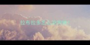 拉布拉多怎么泡狗粮