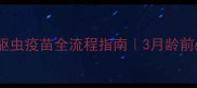 边牧幼犬驱虫疫苗全流程指南3月龄前必看时间表