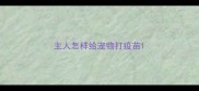 主人怎样给宠物打疫苗