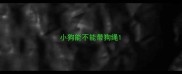 小狗能不能带狗绳