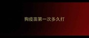 狗疫苗第一次多久打