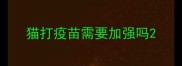 猫打疫苗需要加强吗