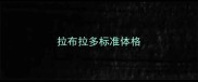 拉布拉多标准体格
