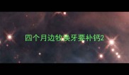 四个月边牧换牙要补钙