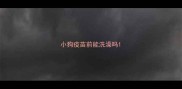 小狗疫苗前能洗澡吗