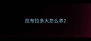 拉布拉多大怎么养