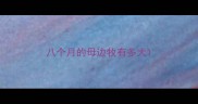 八个月的母边牧有多大