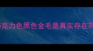 金毛犬的黑化真相巧克力色黑色金毛是真实存在吗养前必看避坑指南