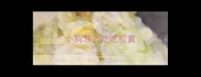 小狗怎么吃吃胶囊