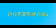 边牧见到狗就兴奋
