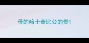 母的哈士奇比公的贵