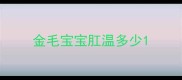 金毛宝宝肛温多少