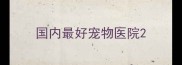 国内最好宠物医院
