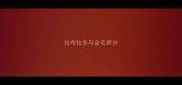 拉布拉多与金毛辈分