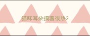 猫咪耳朵摸着很热