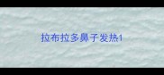 拉布拉多鼻子发热