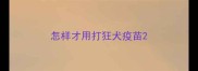 怎样才用打狂犬疫苗