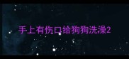 手上有伤口给狗狗洗澡