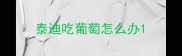 泰迪吃葡萄怎么办