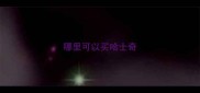 哪里可以买哈士奇