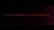 三个月金毛犬洗澡全指南科学护理与风险规避技巧