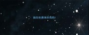 衡阳免费领养狗狗